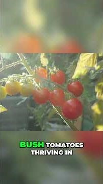 From Jamaica to Asia" Plants' Global Journey of Strength & Beauty