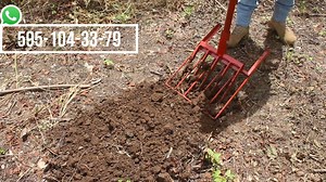 283 reactions · 15 shares | SOMOS FABRICANTES Y ENVIAMOS A TODO MEXICO PIDELA POR MENSAJE O MANDANOS UN WATSAP AL 5951043379 SOMOS FABRICANTES DE VARIAS HERRAMIENTAS Y MAQUINARIA PARA EL CAMPO PIDE NUESTRO CATALOGO ENVIANDONOS UN WATSAP AL 5951043379 . | Diseño Metalico Ixtepec | Facebook