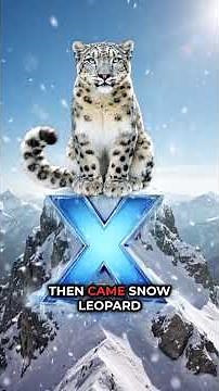 What Innovations Transformed Mac OS X Into a Game Changer?