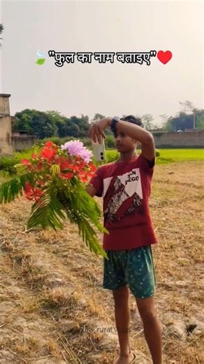 welcome to mere gaon ka mausam 🌾♥️| #gaon #nature #villagelife #shortsfeed #viralvideo #trending