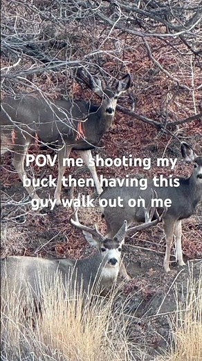 Click the sound you can do it on this video