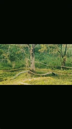 RC Crawler Trails @pinewoodbrae#outdoorgame#havingfun#challengingtrail