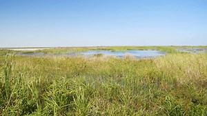  Mark your calendars! Take note of these upcoming SFWMD public meetings in the next few weeks. Visit SFWMD.link/4dRfkYG for more information. | South Florida Water Management District | Facebook