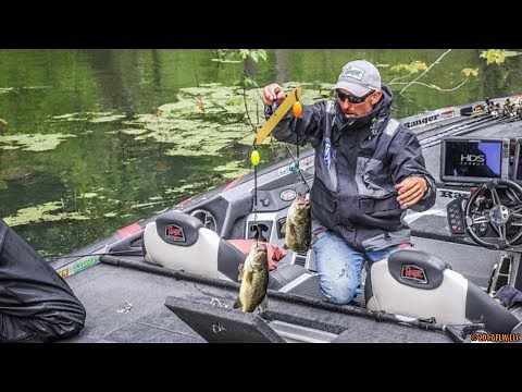How to Catch Bass in Rivers - Current Fishing Secrets