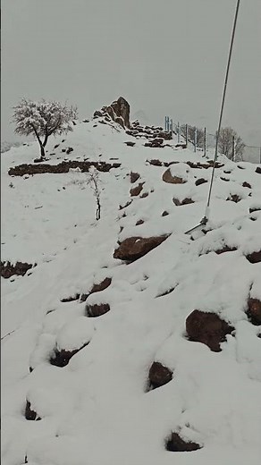 Beautiful Snowfall Over a Majestic Winter Mountain – Peaceful Snowy Scenery