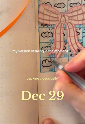 Dec 29, daily weather tracking journal #journalling #weathertok #journalspread #weatherjournal #journalwithme