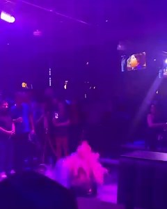 Please caption this! I can’t think of a thing to say the squeals in the videographers spirit had me shook. | Eureka The Elephant Queen