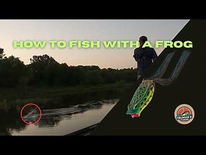 Techniques for Catching Bass with Frog Lures | Bass Fishing With A Frog