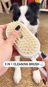 1.3K views | Order here: https://doglovercase.com/products/pet-dog-cat-steam-brush-electric-spray-comb-3in1-hair-massage-tool-kit | Husky Overload | Facebook