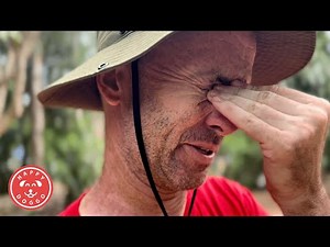 They’re gone… The insane reality of rescuing street dogs in Thailand