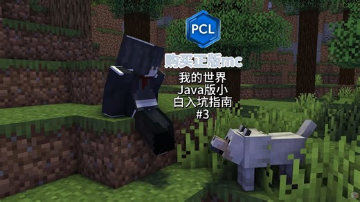 我的世界Java版小白入坑指南#3：正版mc购买