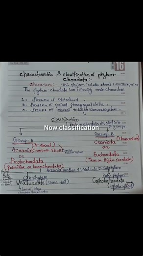 #characteristic and classification of phylum chordata #Part-1