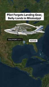 Pilot Aborts Landing After Passenger Uses Bathroom | Flight Simulator Fantasy