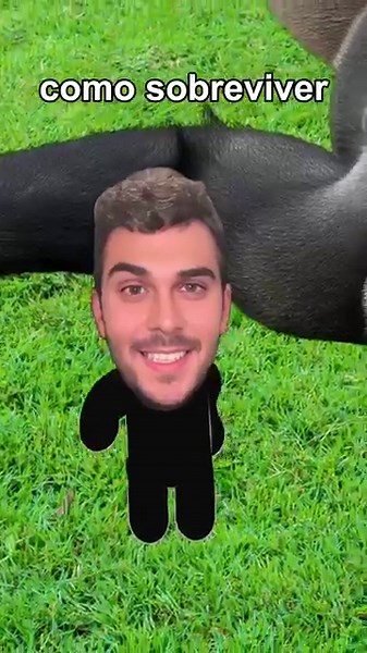 Como sobreviver na barriga de um gorila gigante (tutorial)