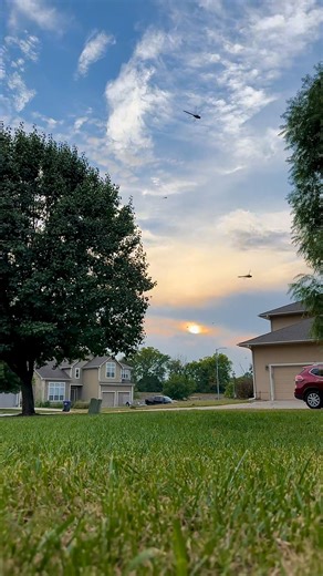 64K views · 3.9K reactions | I Love Dragonflies Have you ever seen a swarm of dragonflies? We definitely havent! 100s of dragonflies descended on our yard out of nowhere! They were flying in circles around me while filming this! It felt so surreal! #dragonfly #christmaspresents #dragonflies #giftideas #pokemongo #dragonflyswarm #novascotia #fyp #christmas #love #pov #holidaygifts #beautiful #magical #amiadisneyprincessnow | I Love Dragonflies | Facebook