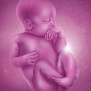 10K views · 1.6K reactions | Watch baby’s progress unfold with the FREE Ovia Pregnancy app 擄 | Ovia Health | Facebook