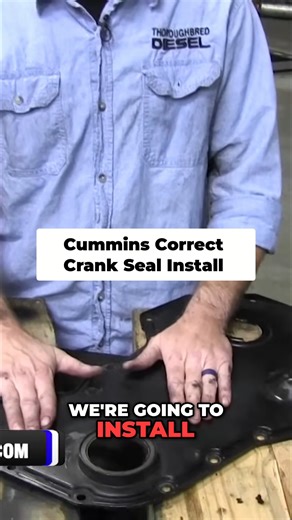 Thoroughbred Diesel on Reels