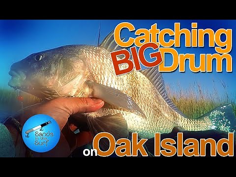 Catching BIG Drum in Davis Canal, Oak Island