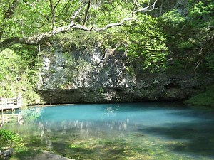 176K views · 3.7K reactions | Blue Spring is the 8th largest spring...