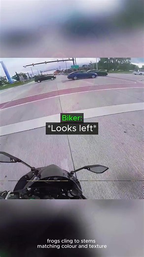 Banjir Mematikan di Aceh Tamiang: Ketinggian Mengejutkan