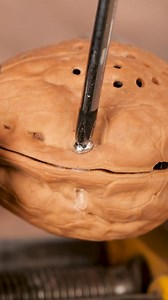 Speaker in a Walnut Case! | Girly Panda