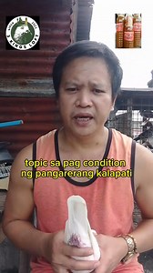 25K views · 657 reactions | Kailan dapat mag bigay ng vitamins sa kalapati? sa training palang ba? ito ang masasabi ko.. para sakin ito gina gawa ko.. #3kingsloftvlog | 3 KINGS LOFT VLOG | Facebook
