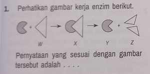 Observe the following enzyme action diagram.Diagram of enzyme... | Filo