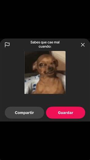 Esque 💔: Reflexiones sobre conexiones perdidas