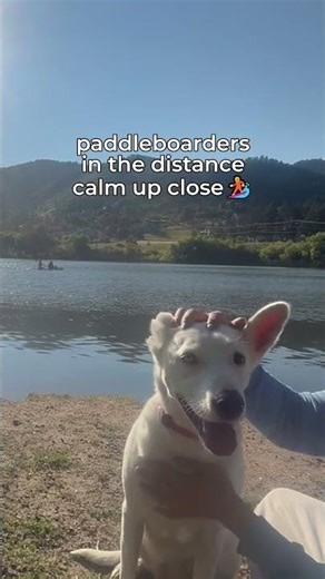 Lake Paddleboarders Hill Backdrop Easy Calm 🏄