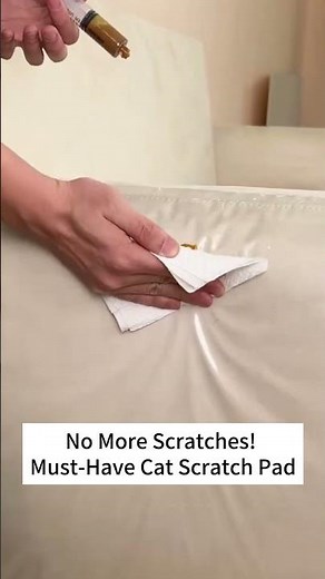 Protect Your Couch from Cat Claws Instantly