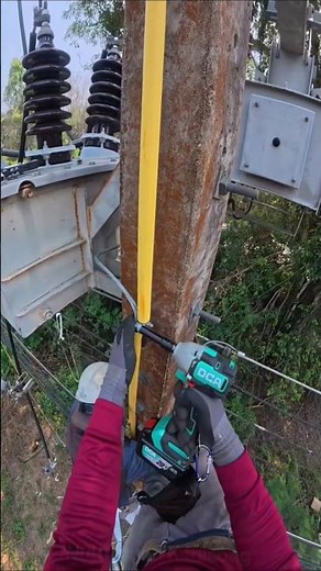 ⚡😱 Watch Linemen Secure a Ground Wire with an M8 Clamp | Utility Pole Grounding #Shorts #lineman