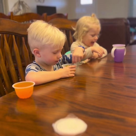 Funny Cat Makes Owner Laugh with Excuses | Hilarious AFV Video