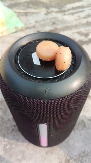 JBL bass tast n color chocolate jump with flip 2 part 2