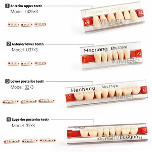 [Hot Item] 3set/Box Dental Rigid Synthetic Resin Acrylic Teeth Anterior Posterior Polymer Denture False Tooth A2