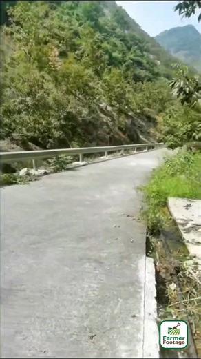 1.4K views | Farmers harvesting pecans | Field to Feast | Facebook