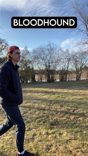 If dog breeds were people part ???? #dogbreeds #dogbreedsoftiktok