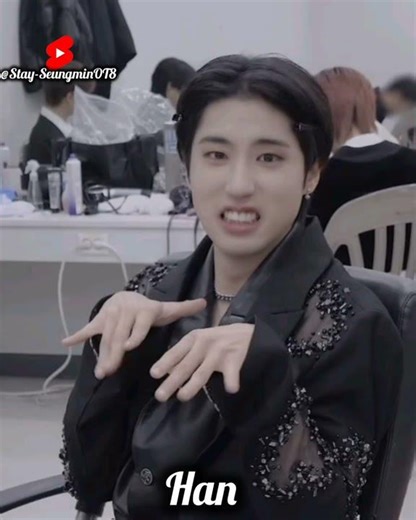 Stray kids ver subscribe #bangchan#han#ı.n#seungmin#changbin#hyunjin#felix#lee know#stay#