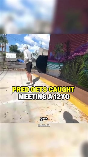 Everything Is Scripted: Understanding Fake Scenarios