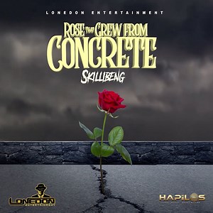 Rose That Grew from Concrete - Skillibeng: Song Lyrics, Music Videos & Concerts
