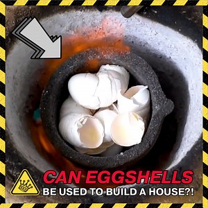 Don't throw away eggshells! This is what you can do with them! | The King of Random