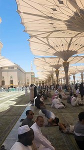 760K views · 88K reactions |   爐爐 #madina #blessings #makkah #history #viral | Abuhadi Khawar | Facebook