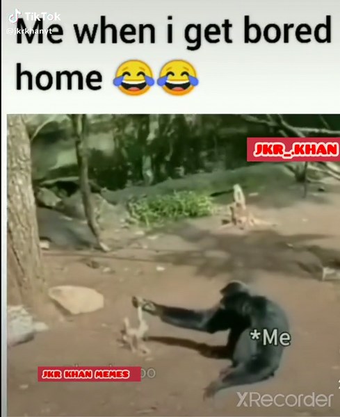 Best Memes Compilation 2021 | Funny Song Memes ft. Tom Sir