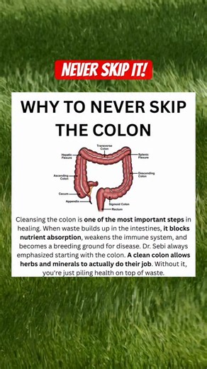 Always start by cleansing the colon #reels #health #detox | AncientResonance