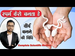 वीर्य कैसे बनता है | Sperm kaise banta hai | scientific process of Semen formation | Dr. Nitish