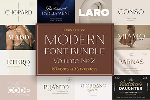 Modern Font Bundle Vol.2, a Sans Serif Font by Larin Type Co.