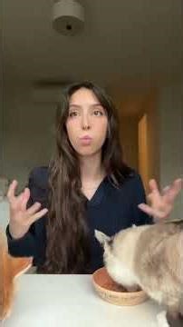 how to get your cat to stop getting on the counter? figure out what they desire. is it food?