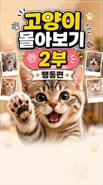 Cat Behavior Guide Part 2! The Truth About Behaviors Even Owners Didn't Know 🐱#cat #catbehavior #...