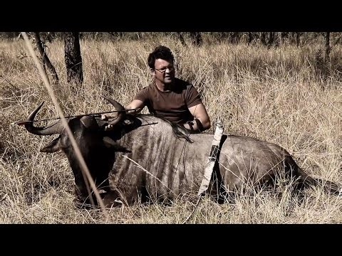SAS Folding Survival Bow hunt of a huge Africa wildebeest!