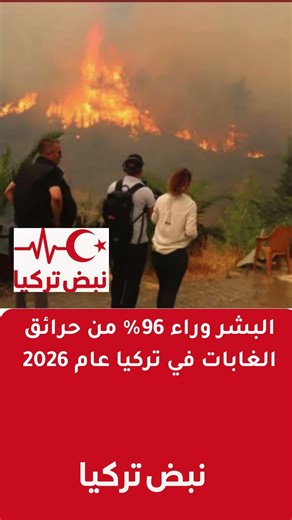 البشر وراء 96٪ من حرائق الغابات في تركيا عام 2026