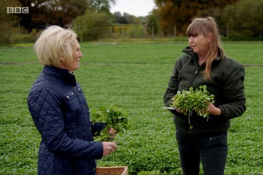 Mary Berry's watercress soup — Watercress | Health, Recipes & More